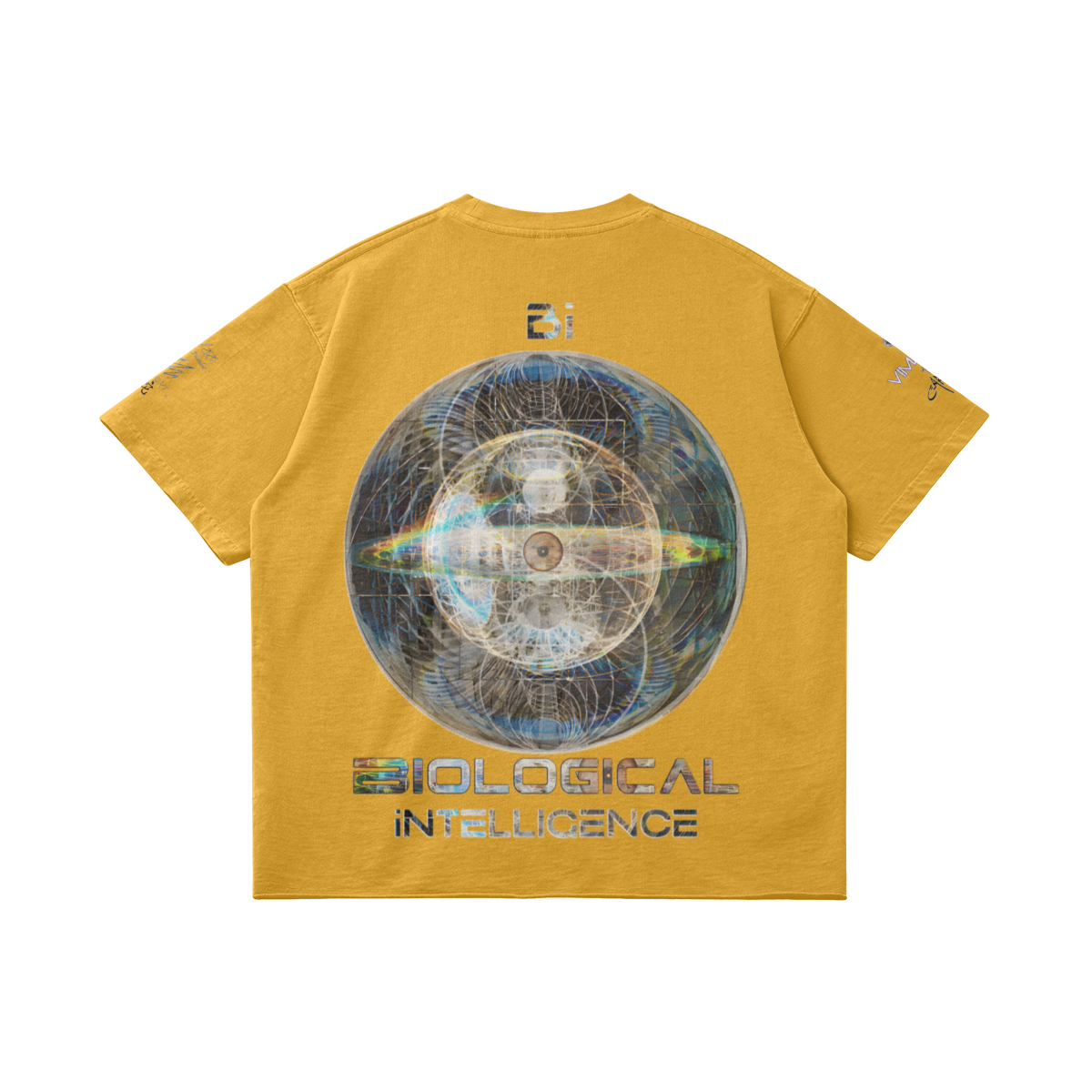 0-Y23-Back Side
